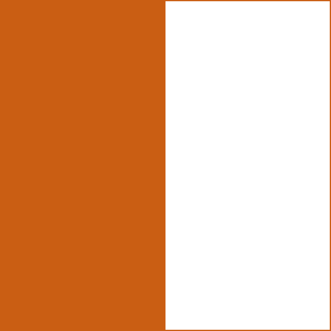 Burnt Orange/White CowBibs