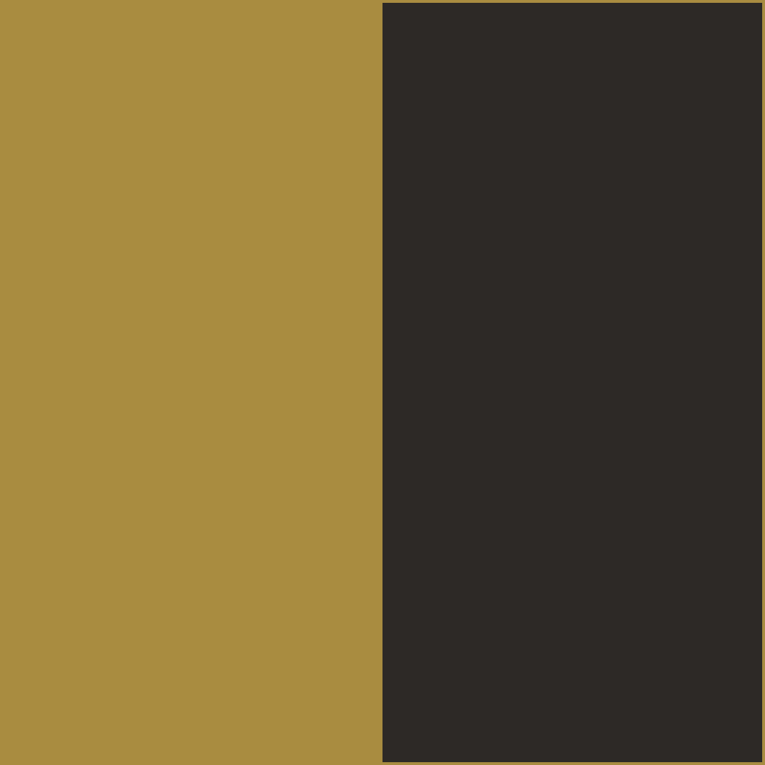 Old Gold/Black CowBibs