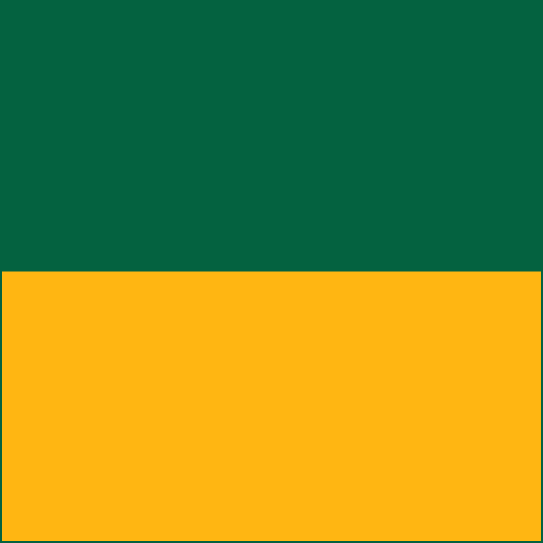 Green & Gold RizBibs