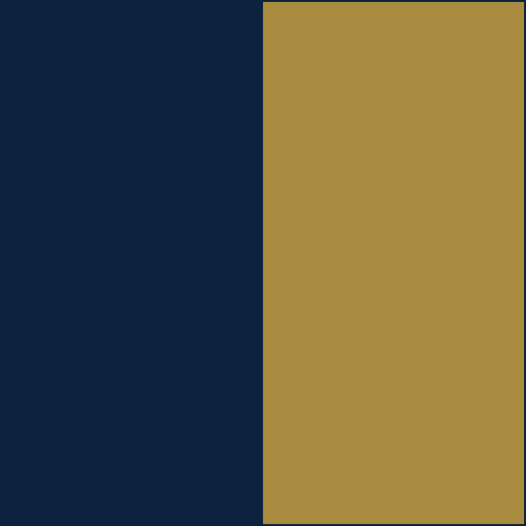 Navy/Old Gold CowBibs