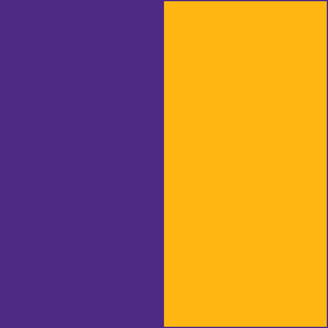 Purple/Gold CowBibs
