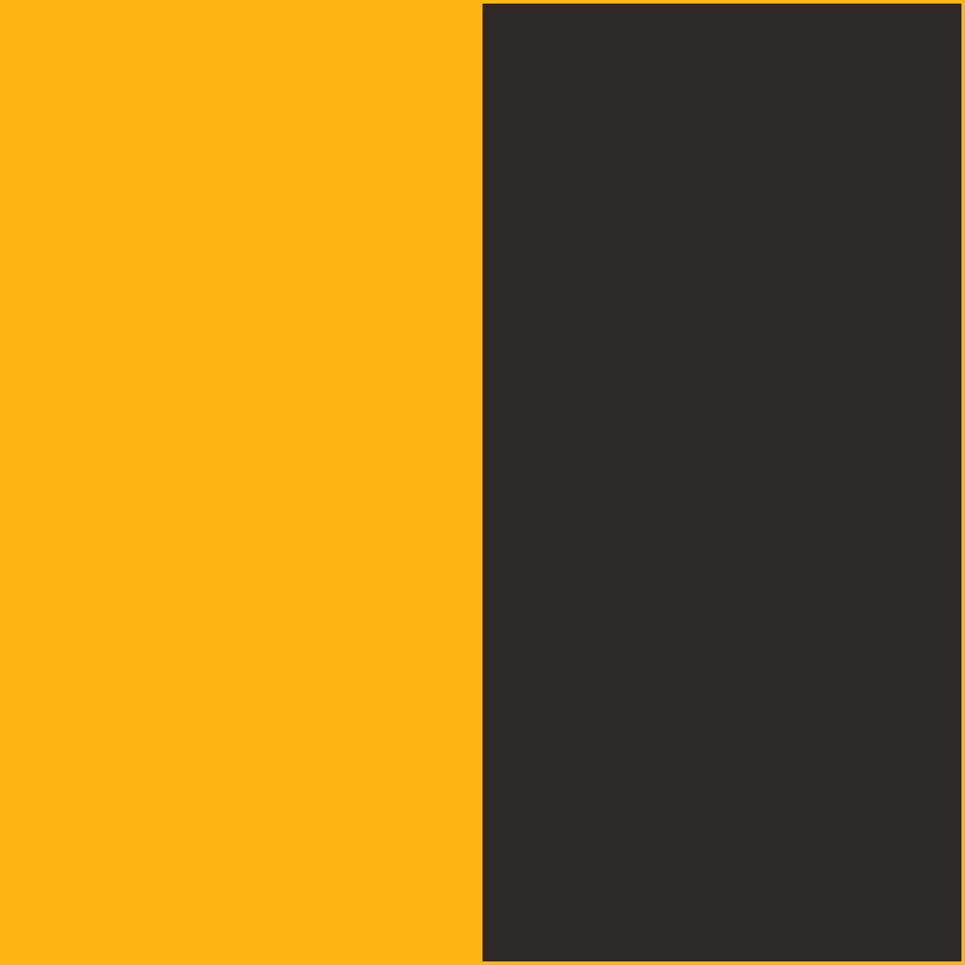 Gold/Black CowBibs