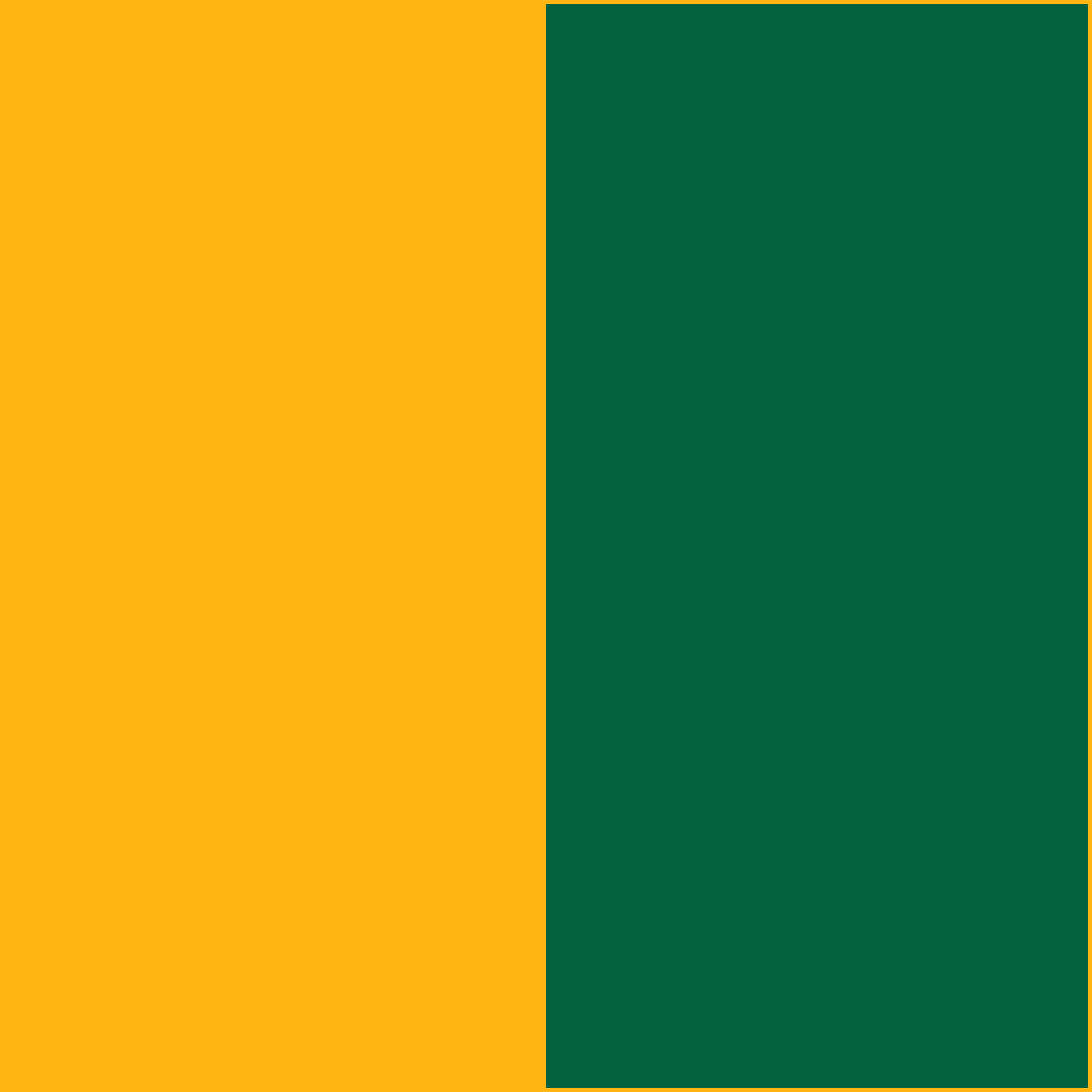 Packers Green & Gold CowBibs
