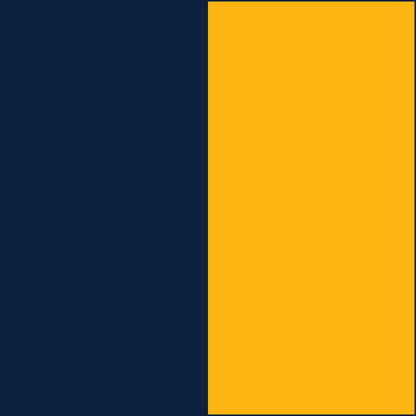 Navy/Gold CowBibs