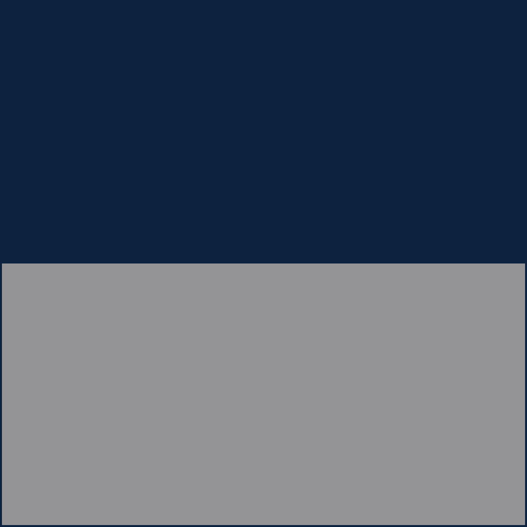 Navy/Grey RizBibs