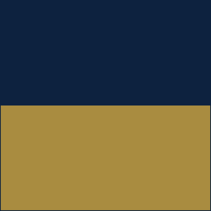 Navy/Old Gold RizBibs