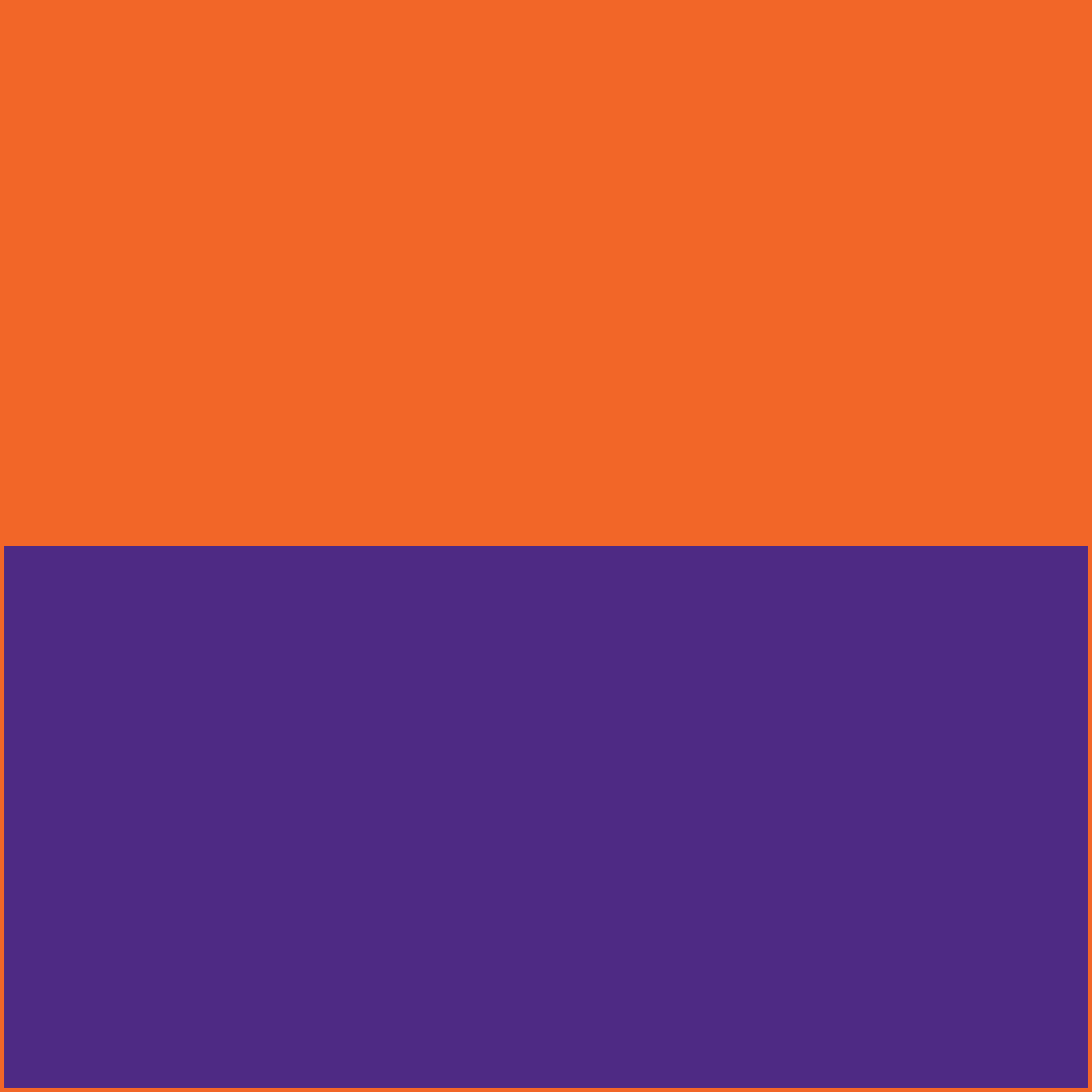 Purple/Orange RizBibs