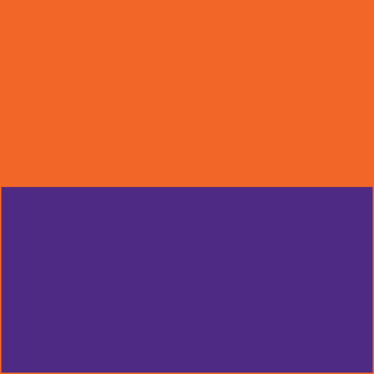 Purple/Orange RizBibs