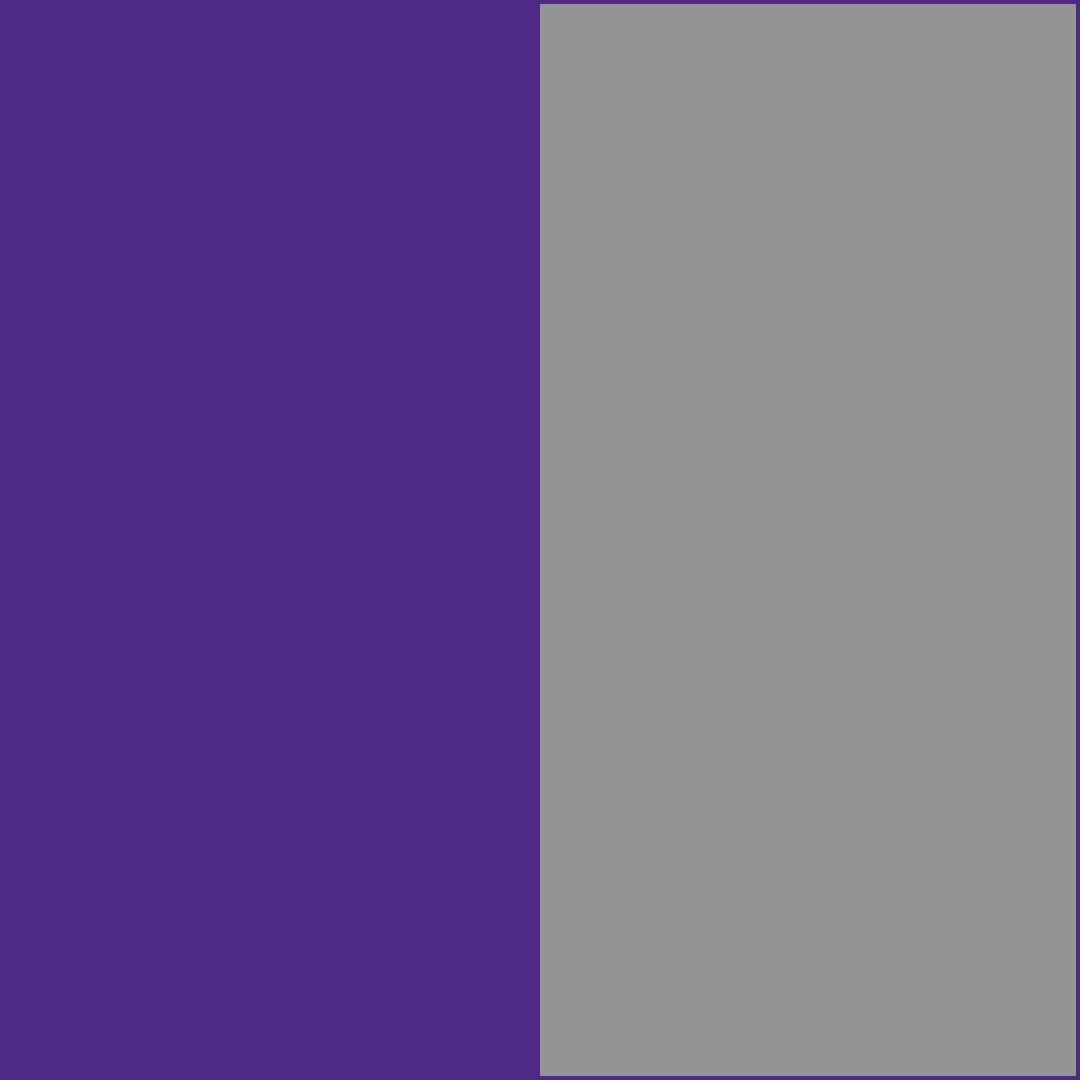 Purple/Gray CowBibs