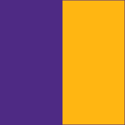 Purple/Gold CowBibs