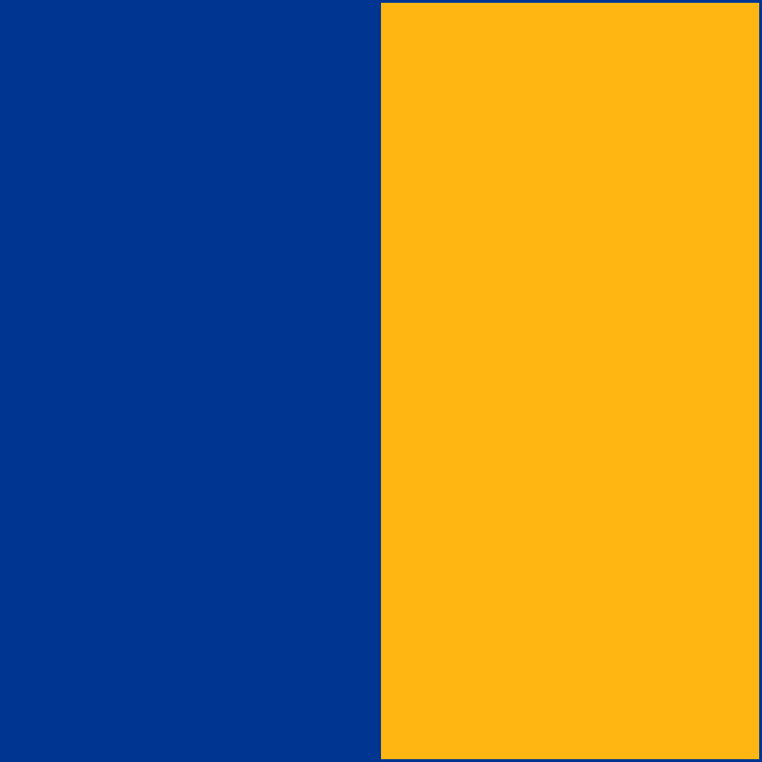 Royal/Gold CowBibs