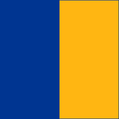Royal/Gold CowBibs